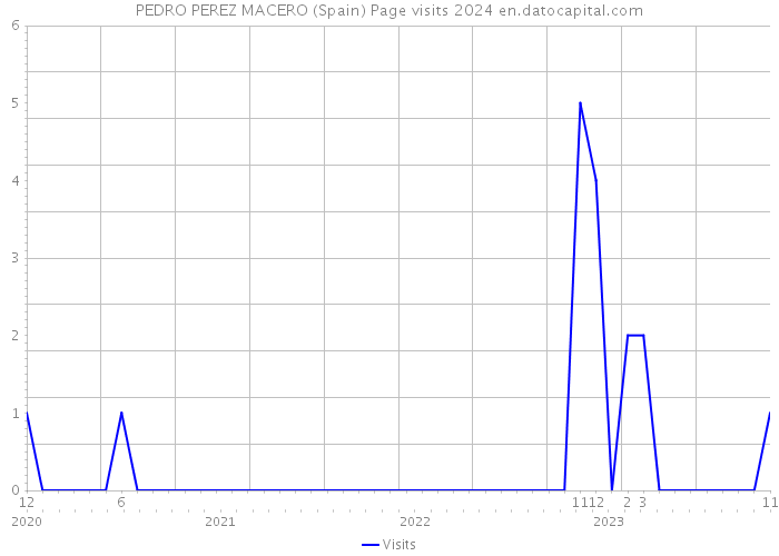 PEDRO PEREZ MACERO (Spain) Page visits 2024 