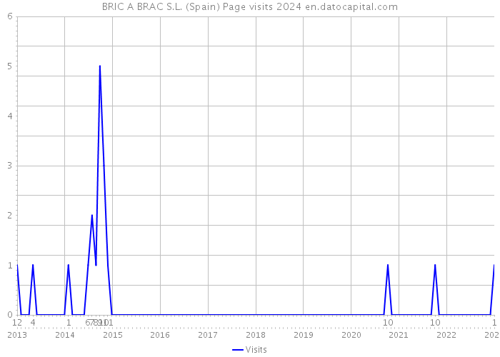 BRIC A BRAC S.L. (Spain) Page visits 2024 