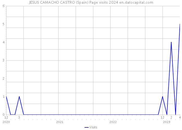 JESUS CAMACHO CASTRO (Spain) Page visits 2024 