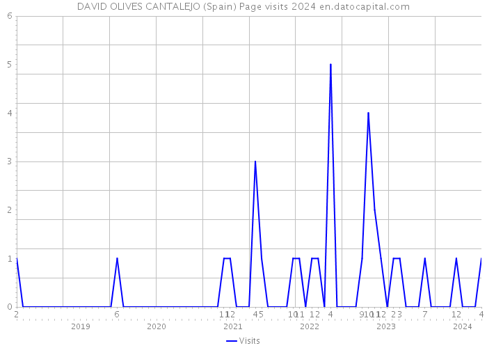 DAVID OLIVES CANTALEJO (Spain) Page visits 2024 