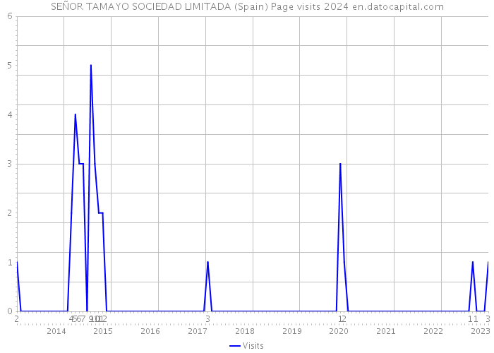 SEÑOR TAMAYO SOCIEDAD LIMITADA (Spain) Page visits 2024 