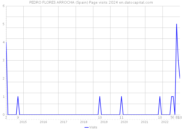 PEDRO FLORES ARROCHA (Spain) Page visits 2024 