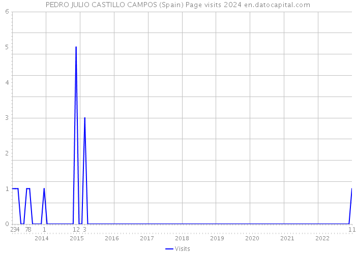 PEDRO JULIO CASTILLO CAMPOS (Spain) Page visits 2024 
