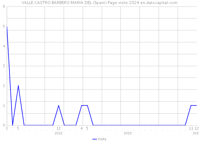 VALLE CASTRO BARBERO MARIA DEL (Spain) Page visits 2024 