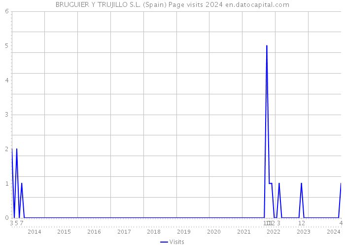 BRUGUIER Y TRUJILLO S.L. (Spain) Page visits 2024 