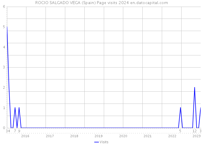 ROCIO SALGADO VEGA (Spain) Page visits 2024 