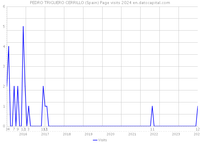 PEDRO TRIGUERO CERRILLO (Spain) Page visits 2024 