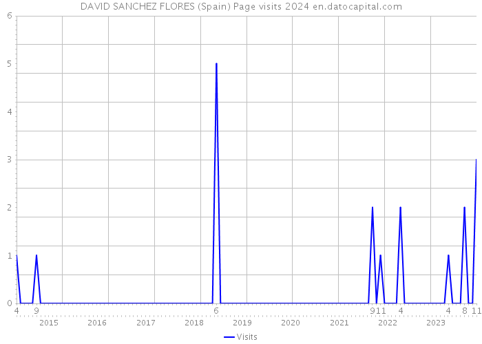 DAVID SANCHEZ FLORES (Spain) Page visits 2024 