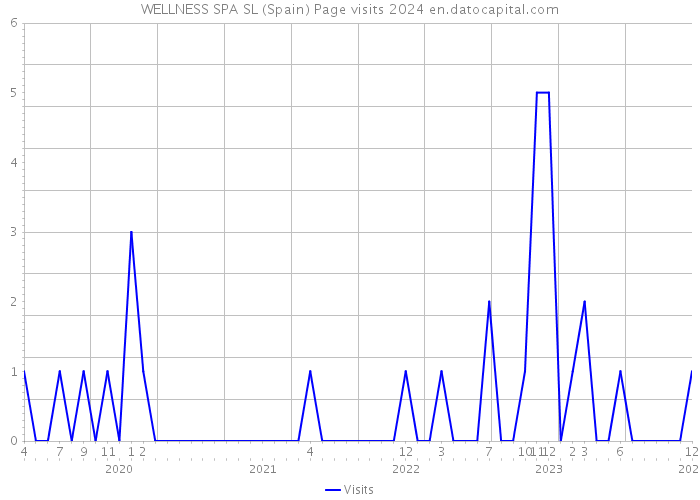 WELLNESS SPA SL (Spain) Page visits 2024 