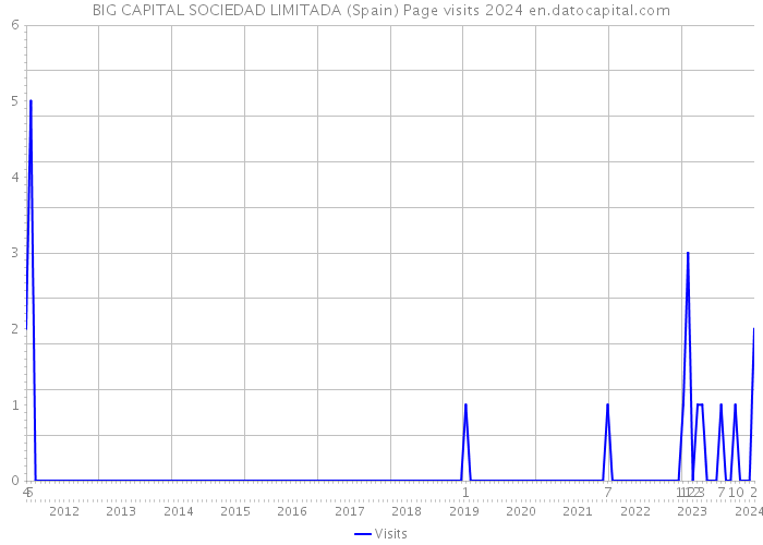 BIG CAPITAL SOCIEDAD LIMITADA (Spain) Page visits 2024 