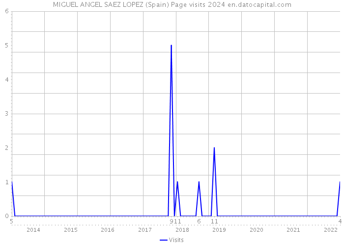 MIGUEL ANGEL SAEZ LOPEZ (Spain) Page visits 2024 