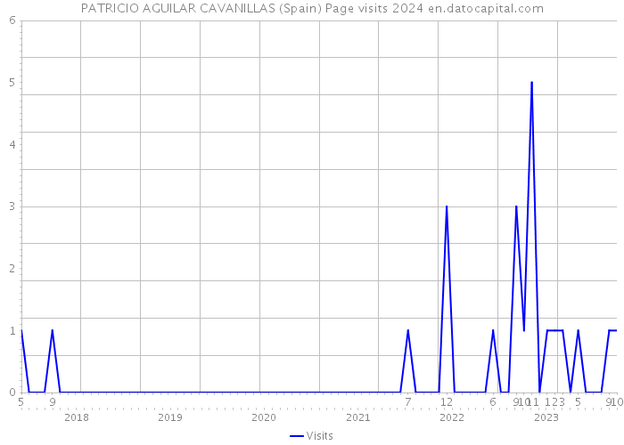 PATRICIO AGUILAR CAVANILLAS (Spain) Page visits 2024 