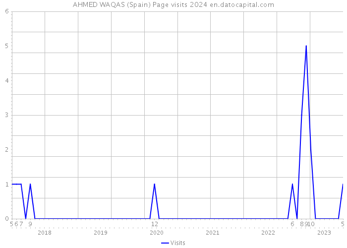 AHMED WAQAS (Spain) Page visits 2024 