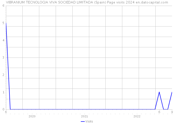 VIBRANIUM TECNOLOGIA VIVA SOCIEDAD LIMITADA (Spain) Page visits 2024 