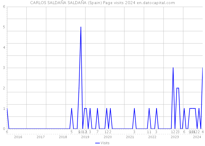 CARLOS SALDAÑA SALDAÑA (Spain) Page visits 2024 