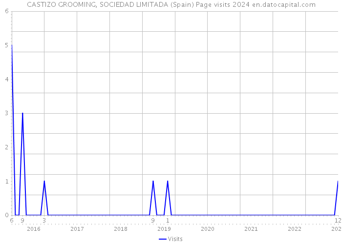 CASTIZO GROOMING, SOCIEDAD LIMITADA (Spain) Page visits 2024 