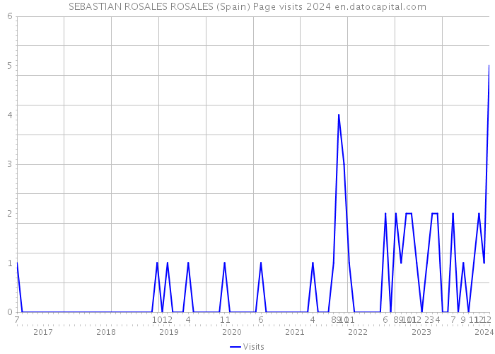SEBASTIAN ROSALES ROSALES (Spain) Page visits 2024 