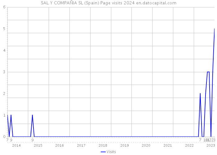 SAL Y COMPAÑIA SL (Spain) Page visits 2024 
