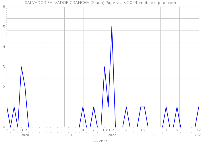 SALVADOR SALVADOR GRANCHA (Spain) Page visits 2024 