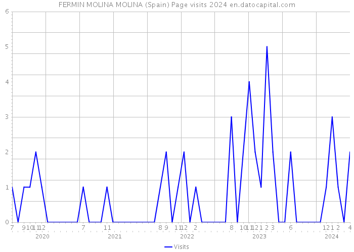 FERMIN MOLINA MOLINA (Spain) Page visits 2024 