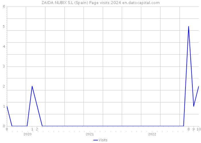 ZAIDA NUBIX S.L (Spain) Page visits 2024 