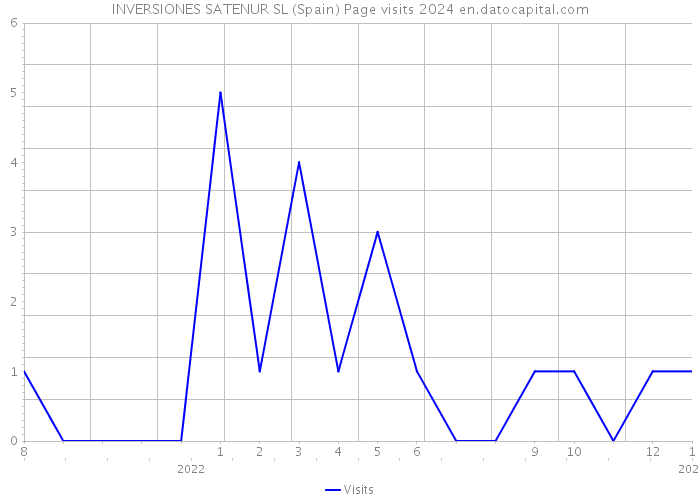 INVERSIONES SATENUR SL (Spain) Page visits 2024 