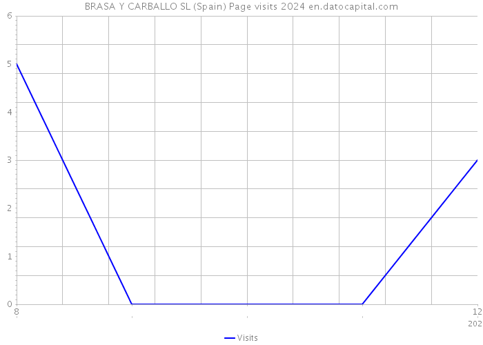 BRASA Y CARBALLO SL (Spain) Page visits 2024 