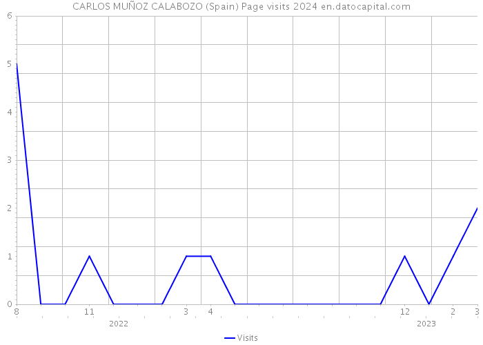 CARLOS MUÑOZ CALABOZO (Spain) Page visits 2024 
