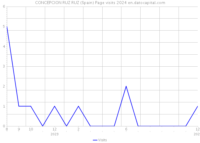 CONCEPCION RUZ RUZ (Spain) Page visits 2024 
