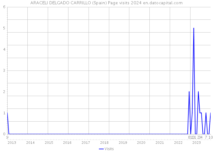 ARACELI DELGADO CARRILLO (Spain) Page visits 2024 