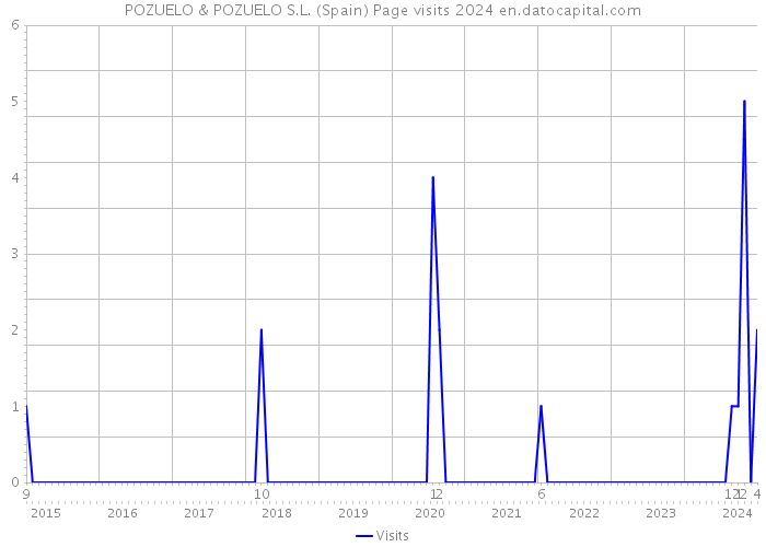 POZUELO & POZUELO S.L. (Spain) Page visits 2024 