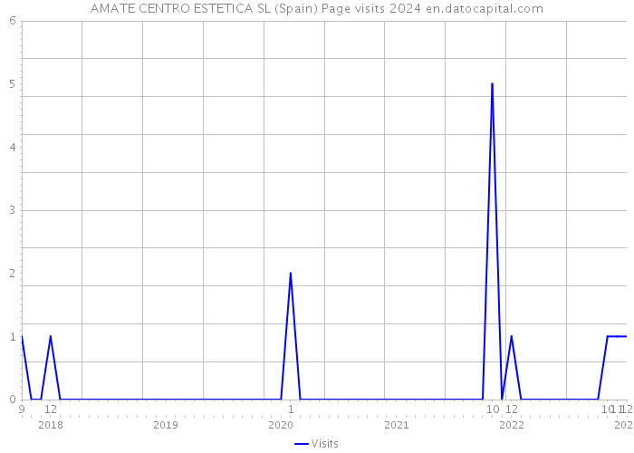 AMATE CENTRO ESTETICA SL (Spain) Page visits 2024 