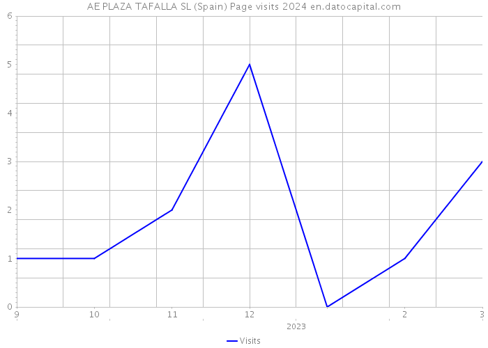 AE PLAZA TAFALLA SL (Spain) Page visits 2024 