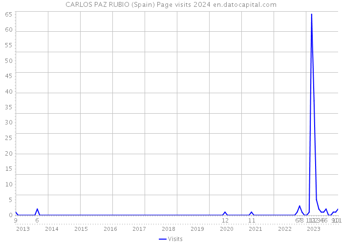 CARLOS PAZ RUBIO (Spain) Page visits 2024 