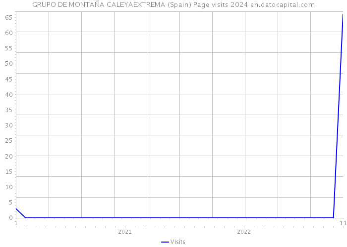 GRUPO DE MONTAÑA CALEYAEXTREMA (Spain) Page visits 2024 
