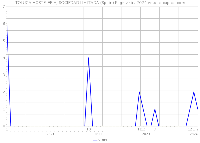 TOLUCA HOSTELERIA, SOCIEDAD LIMITADA (Spain) Page visits 2024 