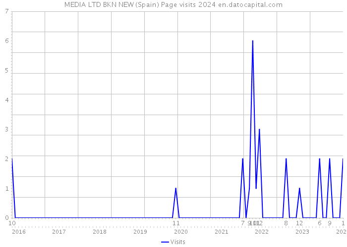 MEDIA LTD BKN NEW (Spain) Page visits 2024 