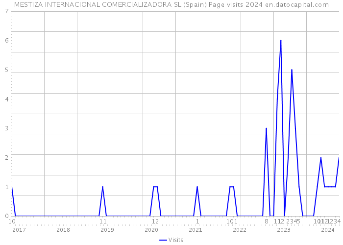 MESTIZA INTERNACIONAL COMERCIALIZADORA SL (Spain) Page visits 2024 