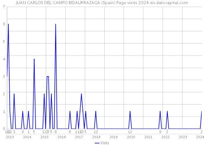 JUAN CARLOS DEL CAMPO BIDAURRAZAGA (Spain) Page visits 2024 
