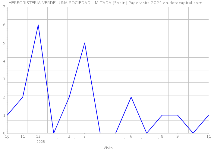 HERBORISTERIA VERDE LUNA SOCIEDAD LIMITADA (Spain) Page visits 2024 