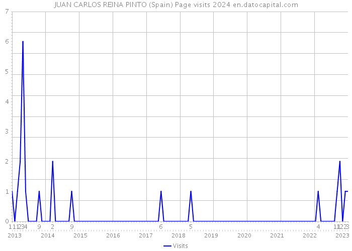 JUAN CARLOS REINA PINTO (Spain) Page visits 2024 