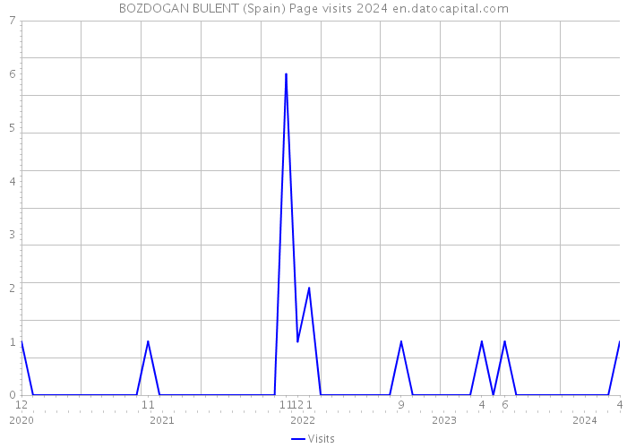 BOZDOGAN BULENT (Spain) Page visits 2024 