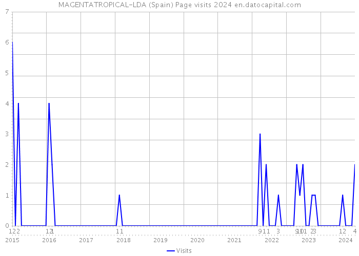 MAGENTATROPICAL-LDA (Spain) Page visits 2024 