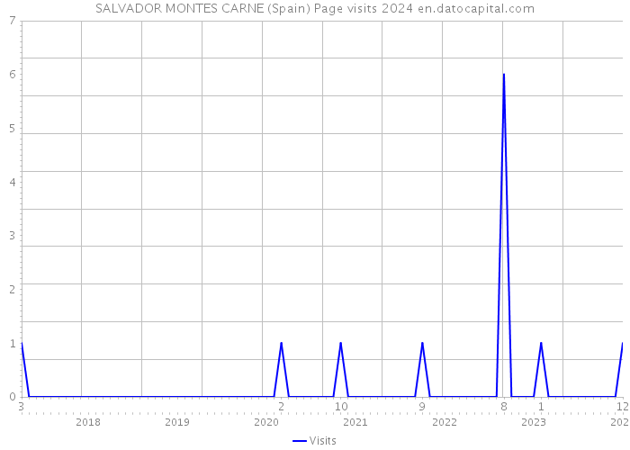 SALVADOR MONTES CARNE (Spain) Page visits 2024 