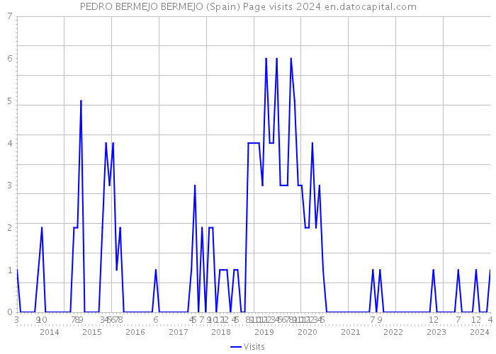 PEDRO BERMEJO BERMEJO (Spain) Page visits 2024 