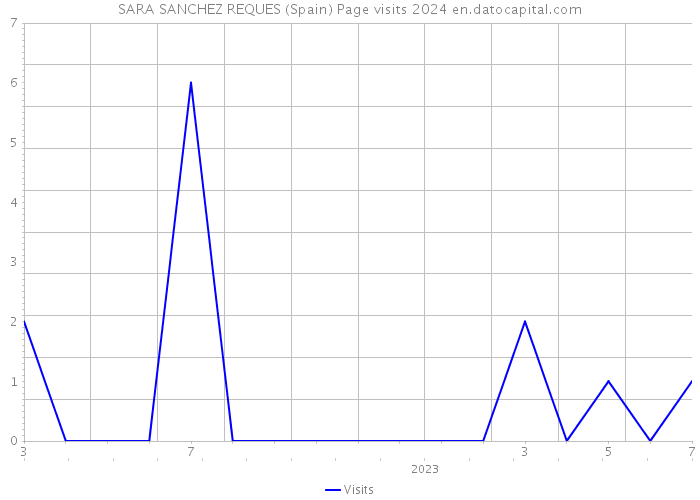 SARA SANCHEZ REQUES (Spain) Page visits 2024 