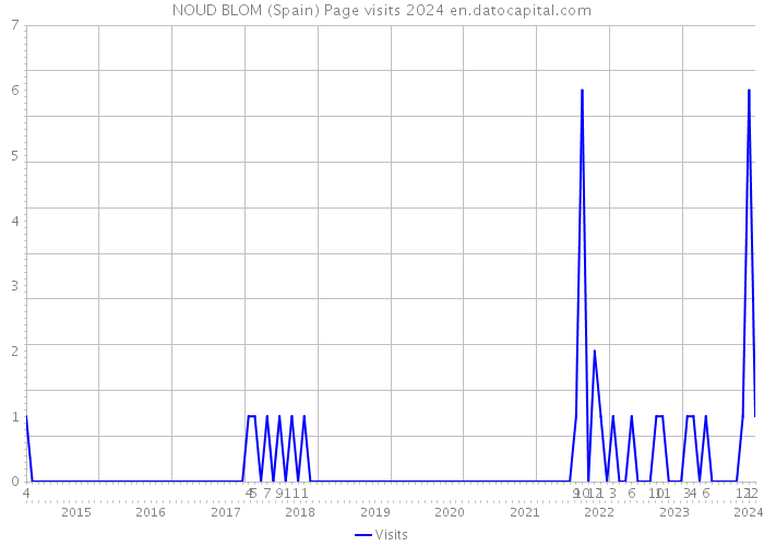 NOUD BLOM (Spain) Page visits 2024 