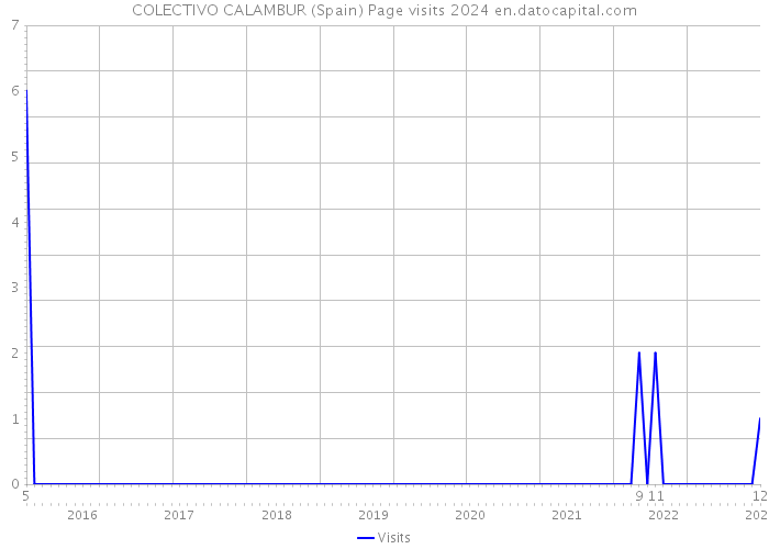 COLECTIVO CALAMBUR (Spain) Page visits 2024 