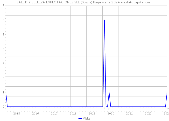 SALUD Y BELLEZA EXPLOTACIONES SLL (Spain) Page visits 2024 