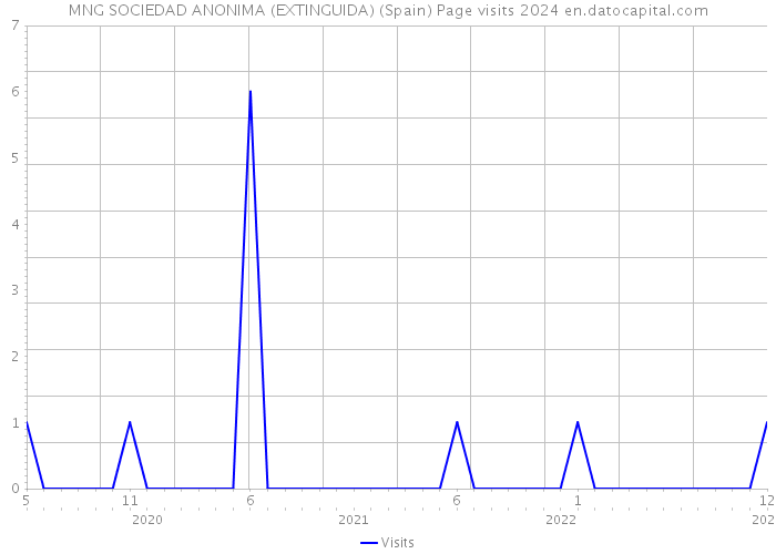 MNG SOCIEDAD ANONIMA (EXTINGUIDA) (Spain) Page visits 2024 